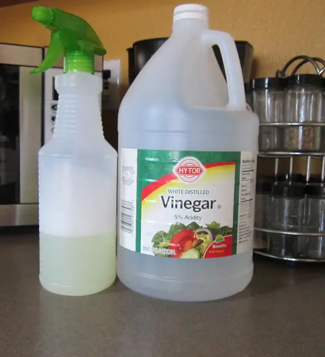 How-to-Clean-with-Vinegar---Cleaning-with-Vinegar